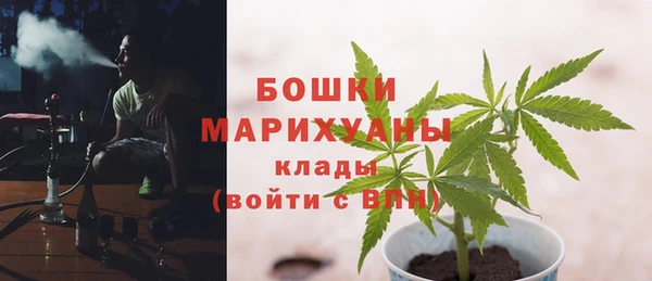 гидра Нея