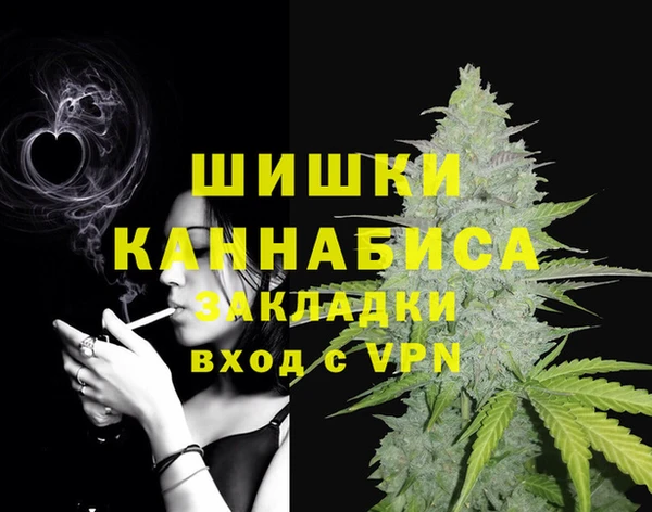 гидра Нея