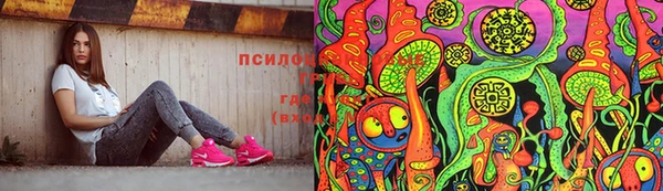 гидра Нея
