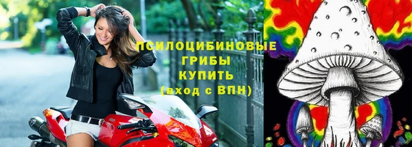таблы Надым