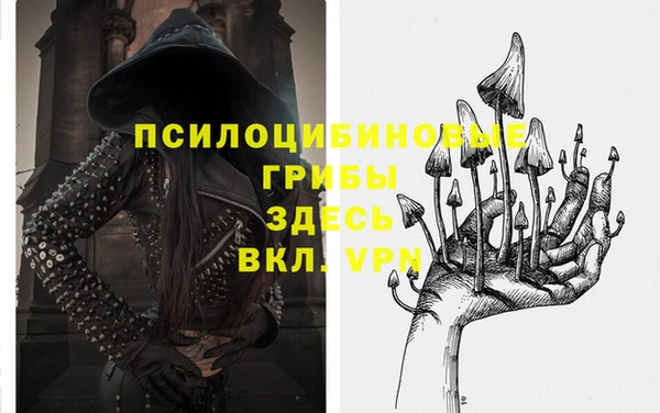 дживик Навашино