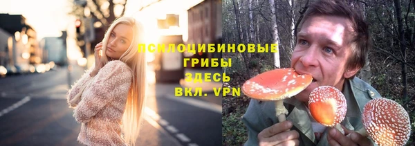 таблы Надым